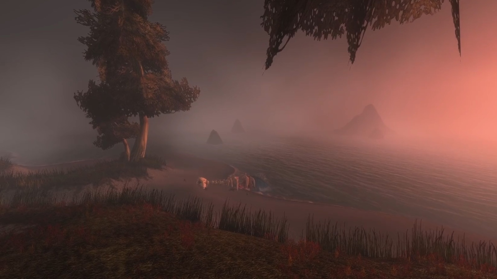Darkshore — Darkshore shoreline: Classic's flat grey versus Forever's pink-tinted volumetric fog. — Forever